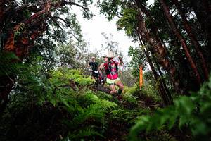 BIB: 
                            <button type="button" onclick="openModal(26203932)" class="btn btn-primary btn-sm float-right btn-popup" data-toggle="modal" data-target=".modal-high-quality">
                        <i class="fas fa-shopping-cart"></i> Add to Cart
                    </button>
                                            <button type="button" onclick="isThisMe(26203932, true)" class="btn btn-success btn-sm float-right btn-popup btn-isme hidden" data-toggle="tooltip" data-placement="bottom" title="นี่คือรูปของคุณใช่ไหม คลิกที่นี่เพื่อเอาเข้าอัลบั้ม">
                        <i class="fas fa-plus"></i> Add to album
                    </button>
                    <button type="button" onclick="isThisMe(26203932, false)" class="btn btn-warning btn-sm float-right btn-popup btn-isnotme hidden">
                        <i class="fas fa-ban"></i> Remove from album
                    </button>